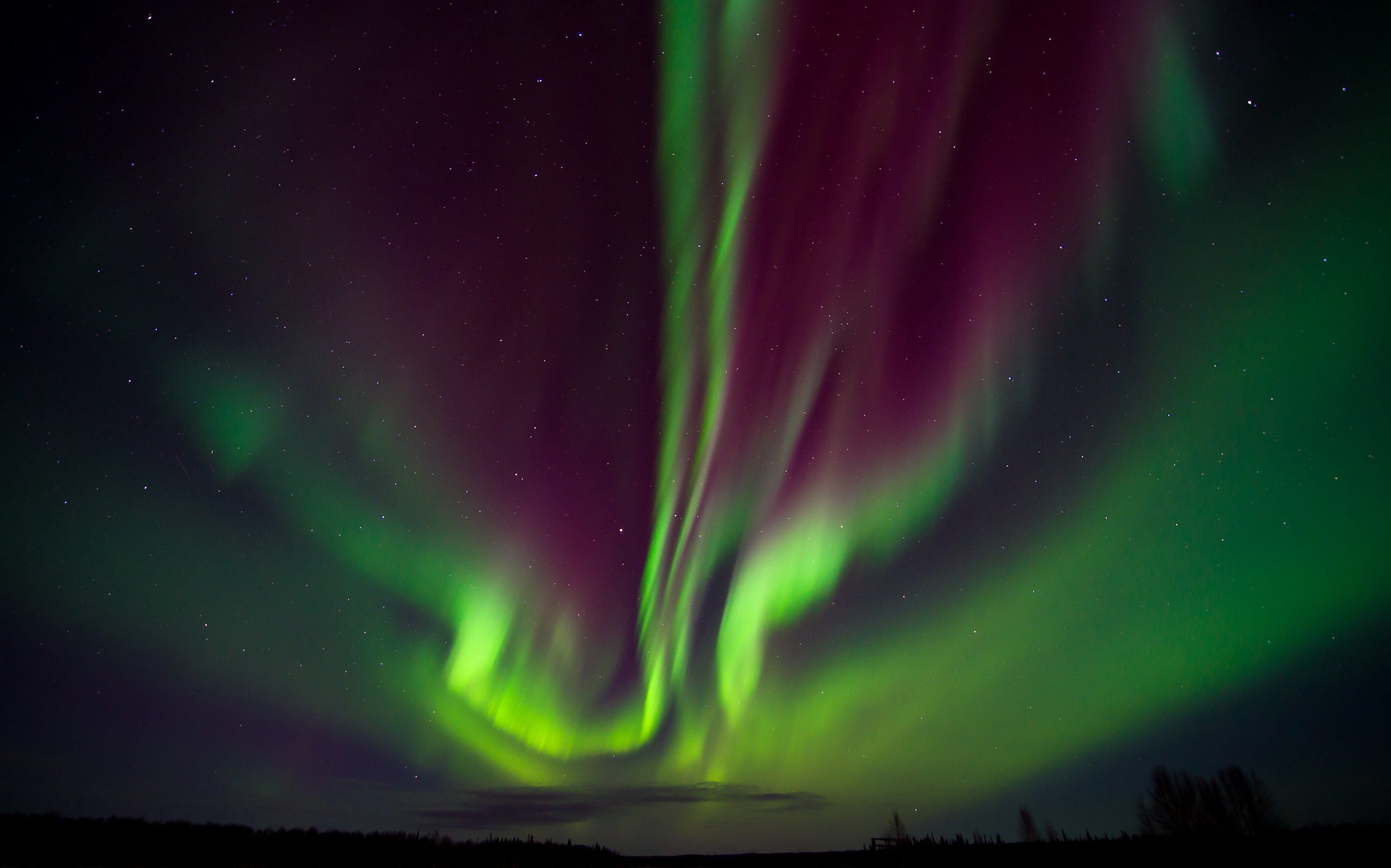 Green and purple northern lights in the night sky.