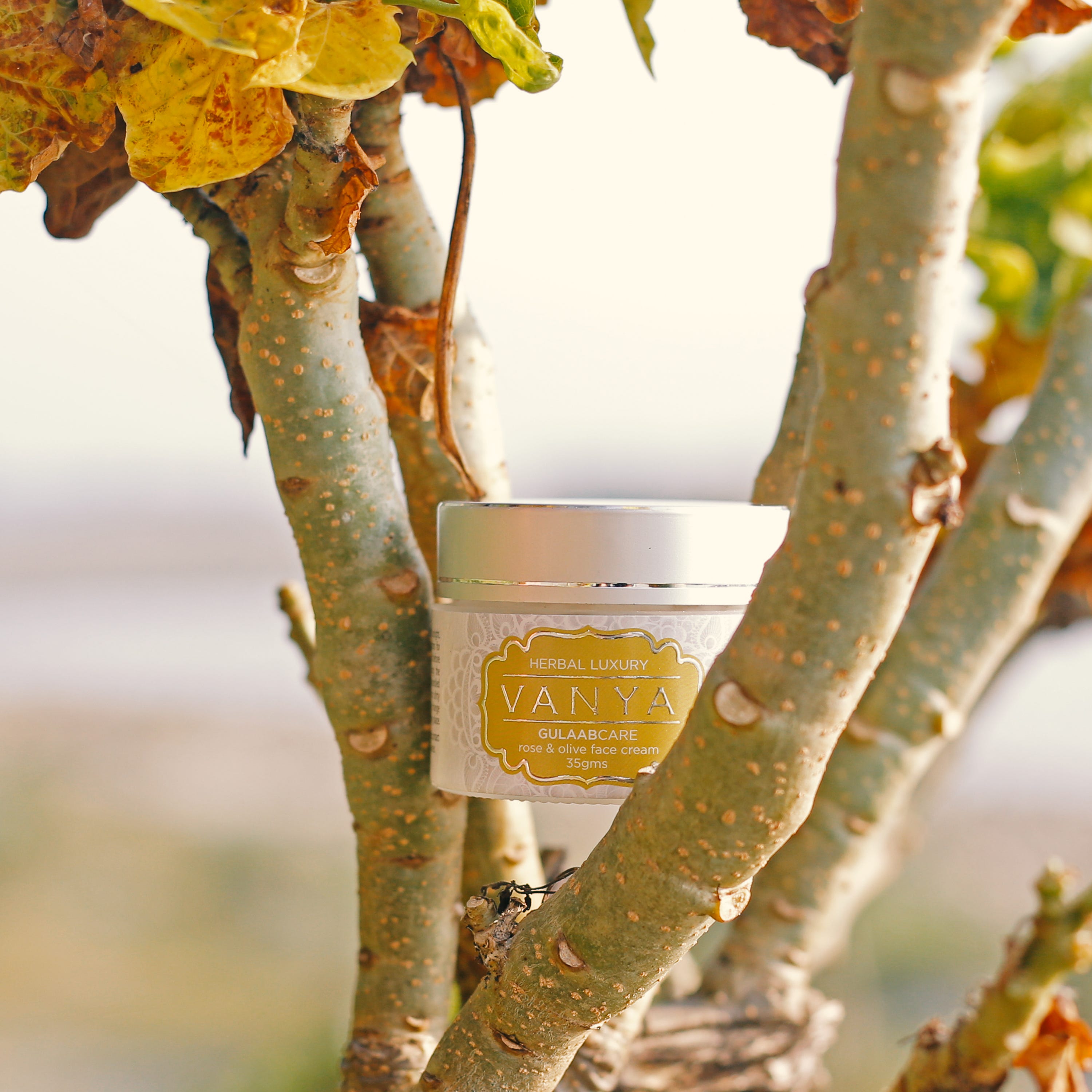 tips for oily acne prone skin