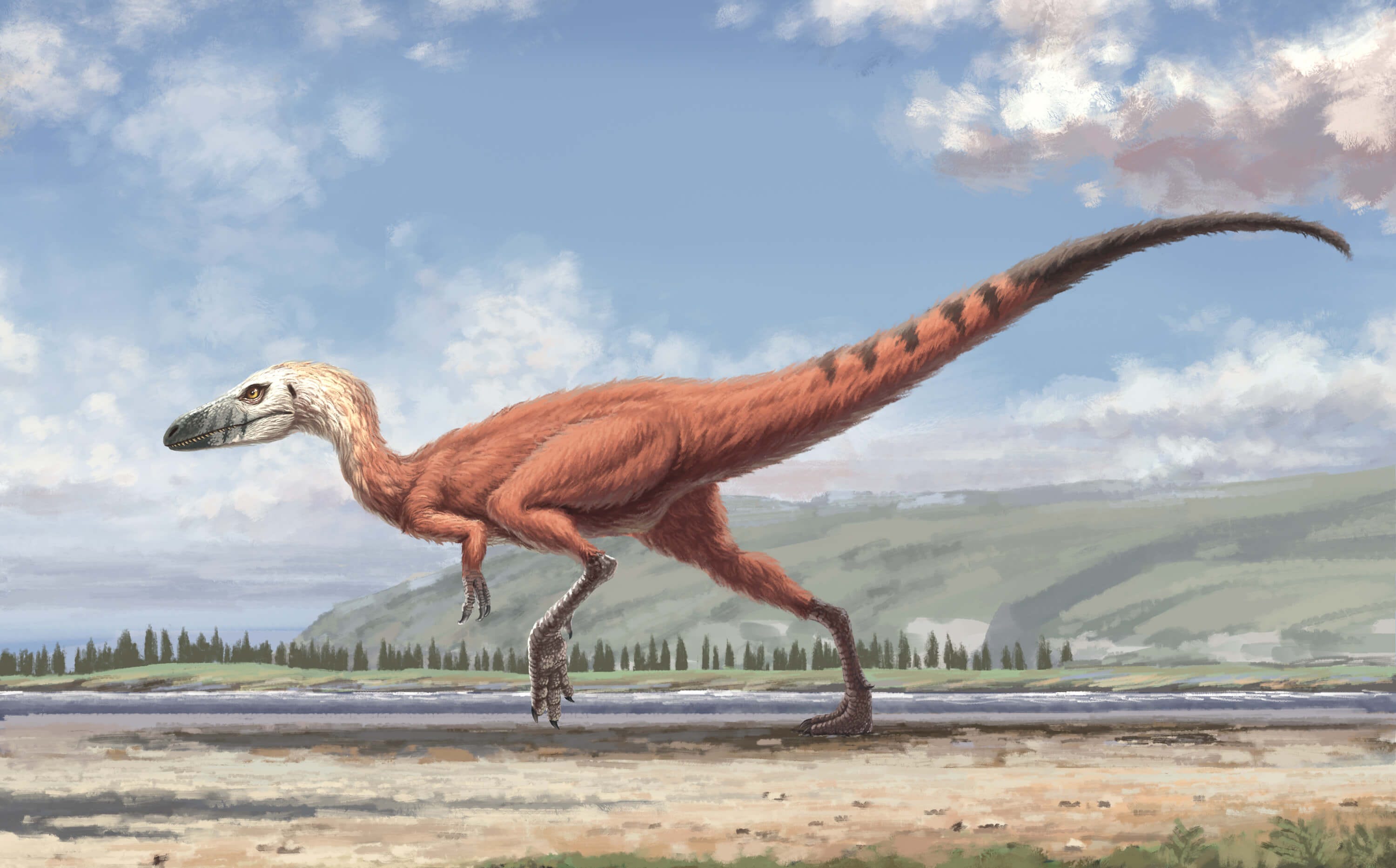 Soft tissue in dinosaur fossils the evidence hardens