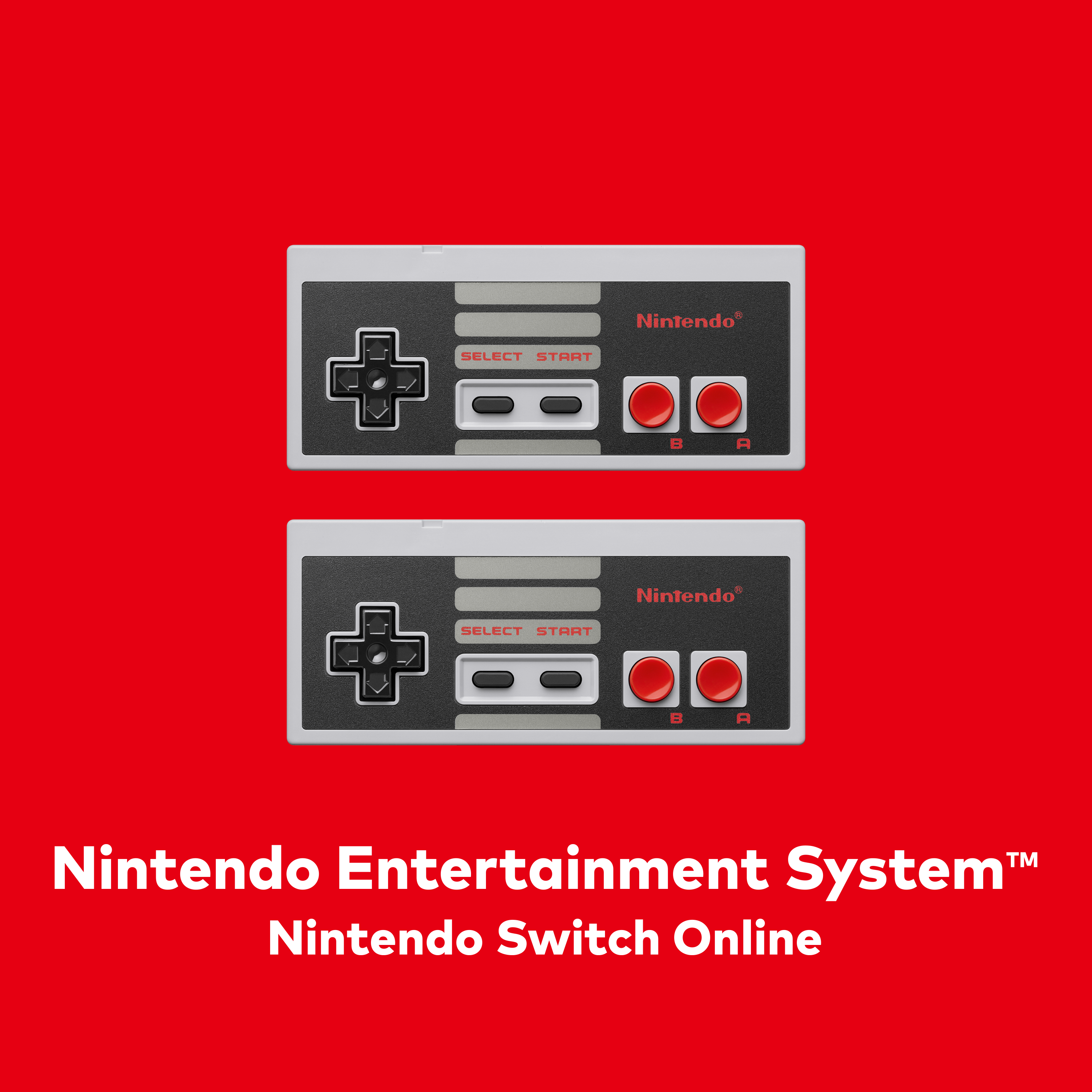nintendo switch 1 year online