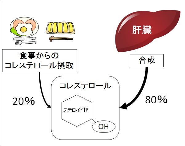 卵は１日何個まで コレステロールが気になる方 必見 コレステロールが高いから卵は控えるように といわれた方も多いのではないでしょうか By Yuko S Medium