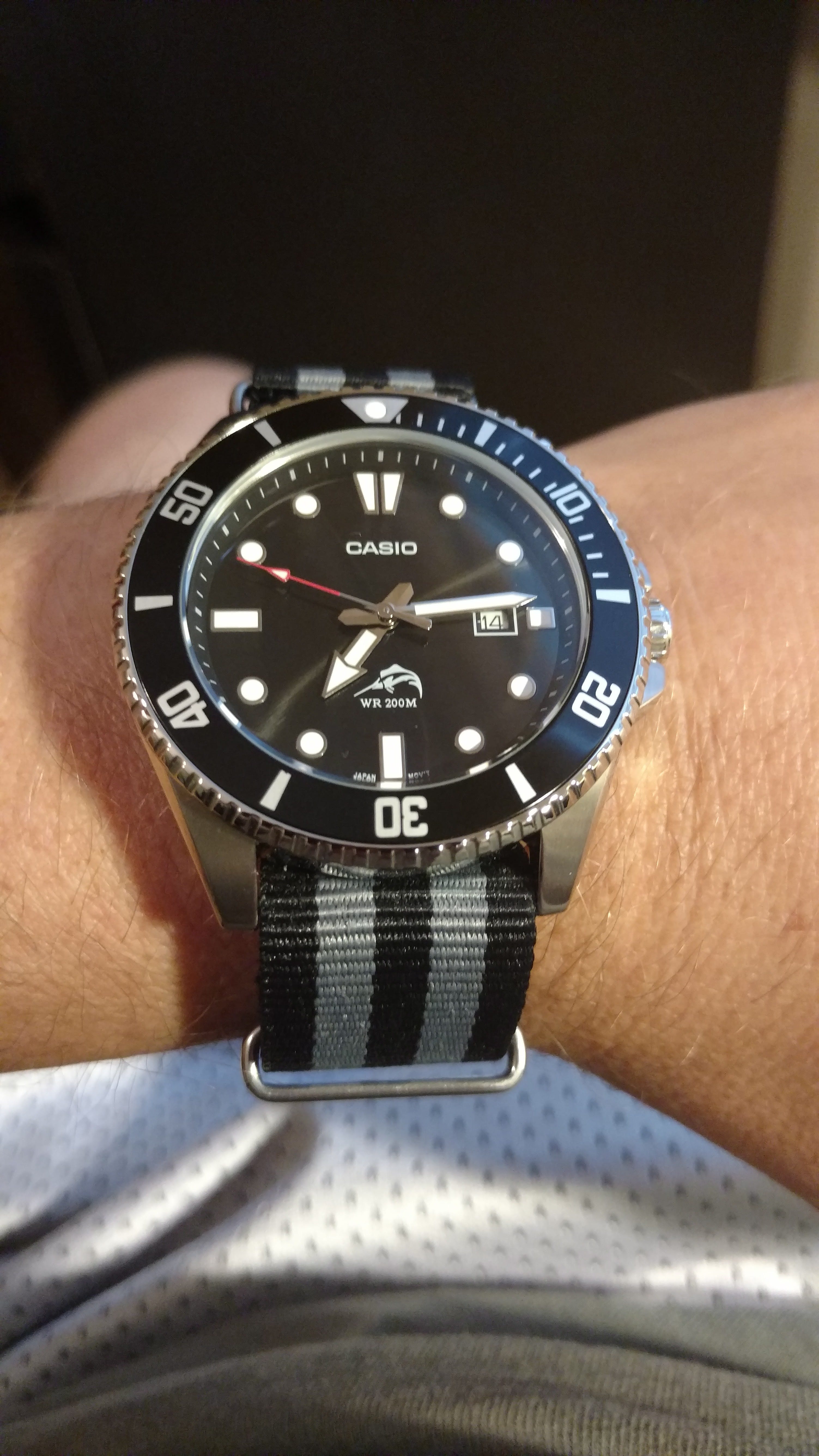 casio duro vs seiko skx