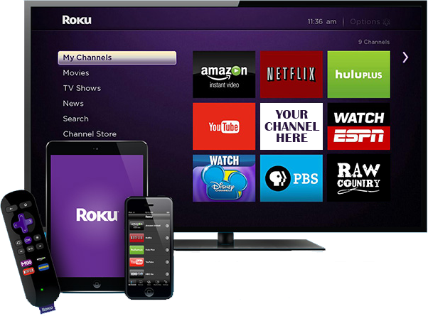 Five Elements of a Successful Roku Channel | by Phil Autelitano | Business  & Marketing | Medium