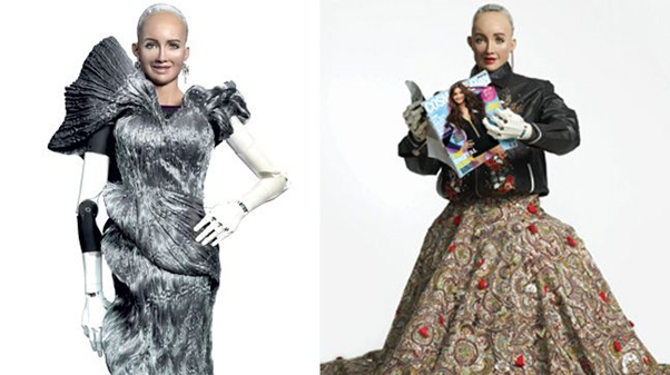 sophia robot model
