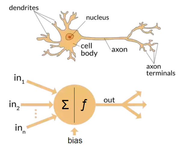 simple neural network pytorch