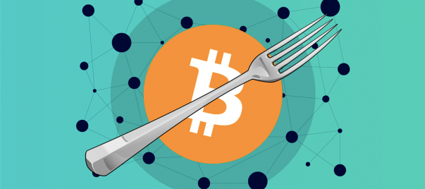 Bitcoin Cash Hardforks On May 15th What Does It Mean For Bch Owners - 
