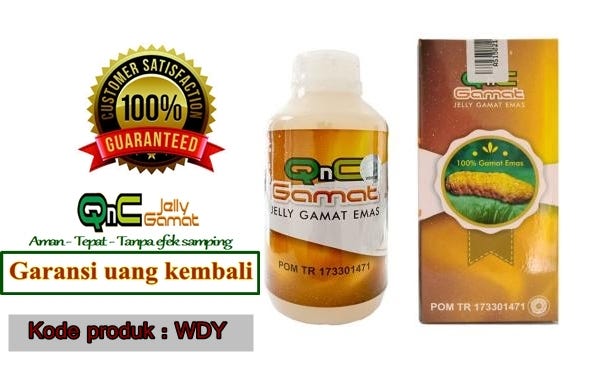 Berikut Ini Manfaat Kandungan Qnc Jelly Gamat Untuk Pengobatan