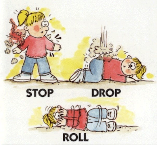 The Wee Child Learns to Stop Drop & Roll by Marcie Smolin The