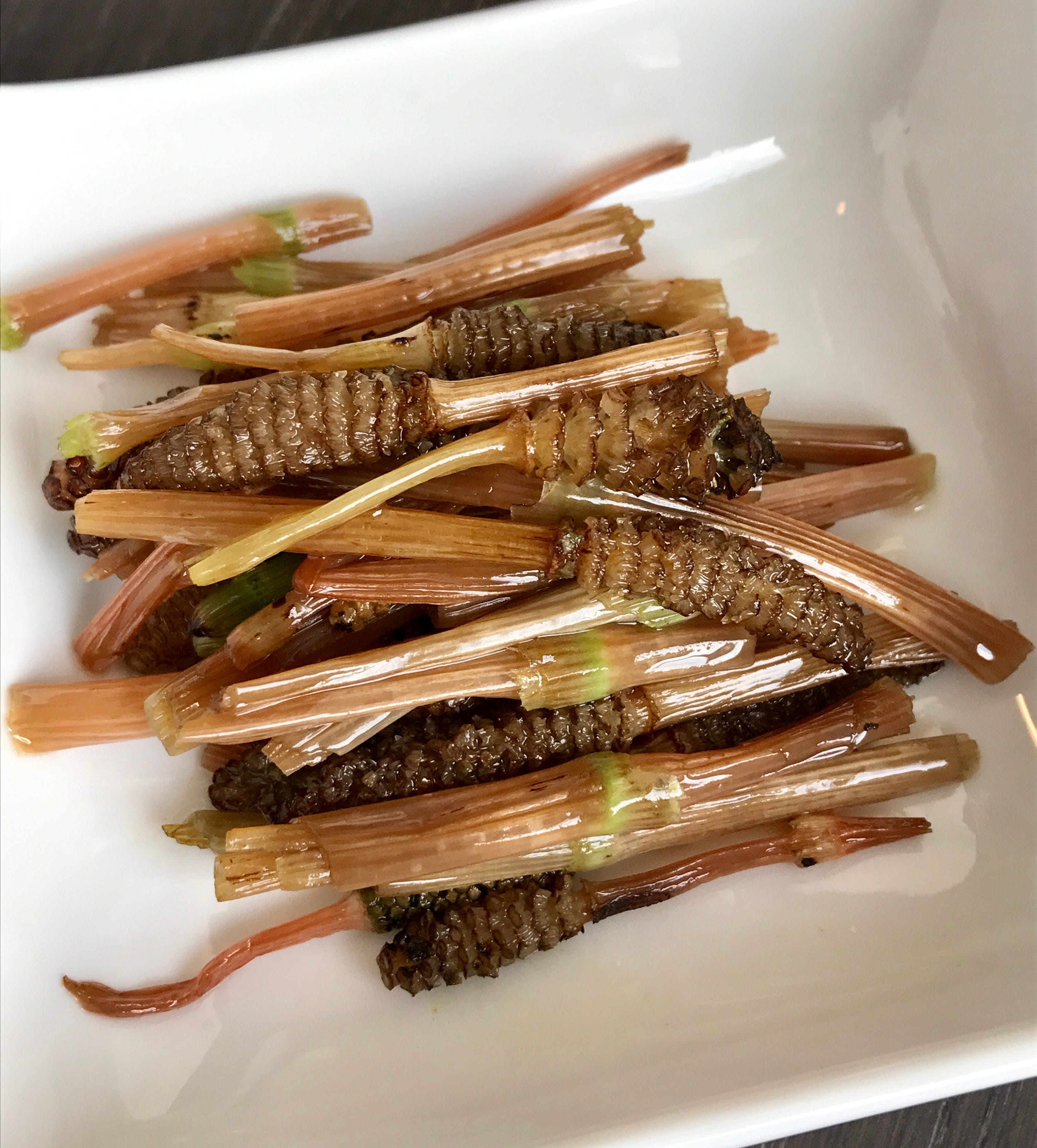 Horsetail — the wild edible. The medicinal plant that dates back… by