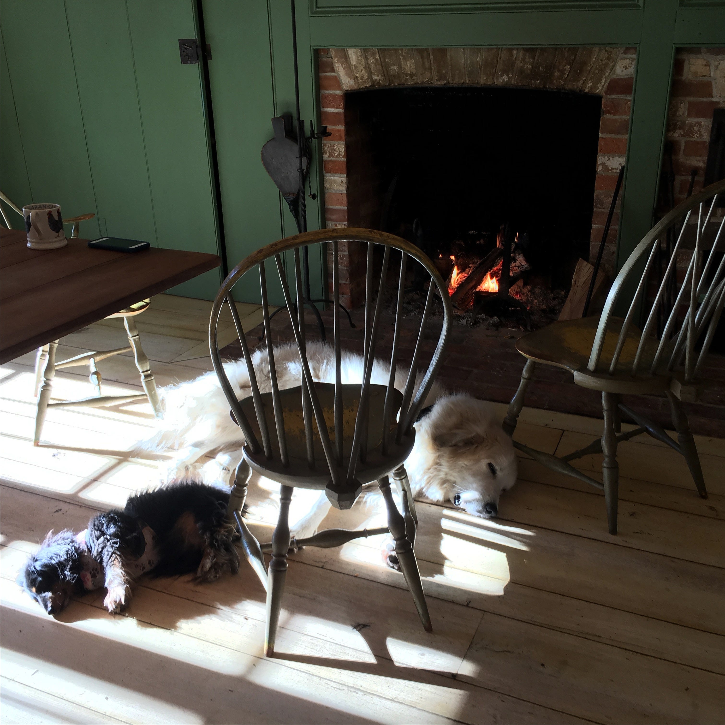 The Stay At Home And The Explorer By Mary Shaw Rimmington Medium medium