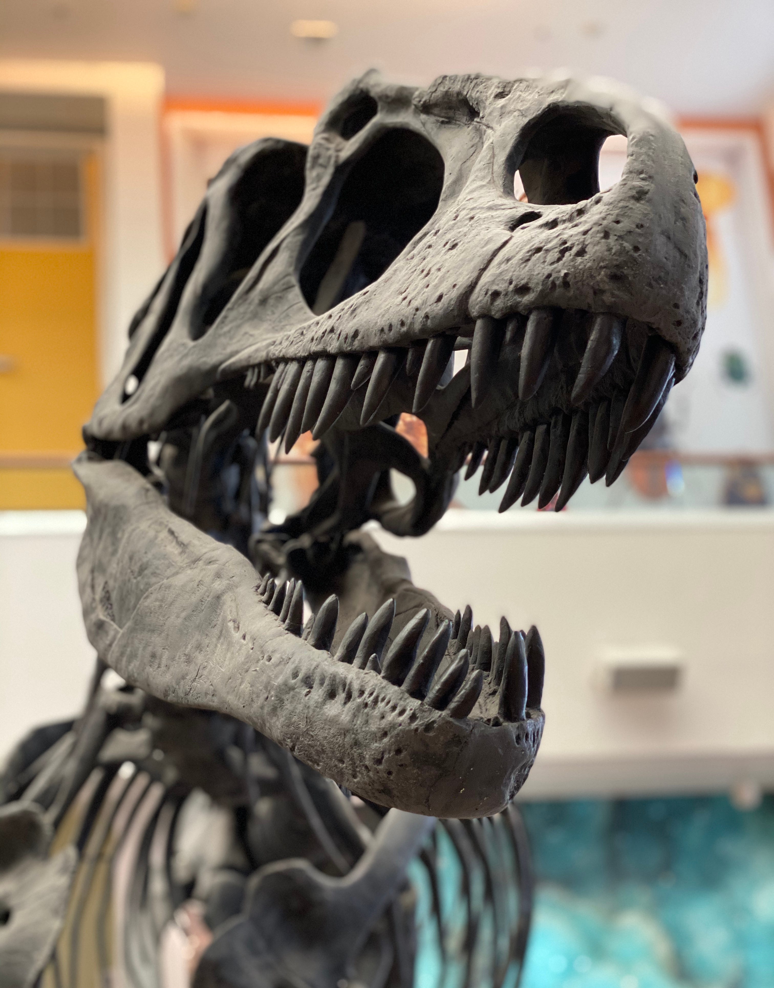 This Is What Could Happen If Dinosaurs Were Alive Today | by Kiran Yasmin | Write To Inspire