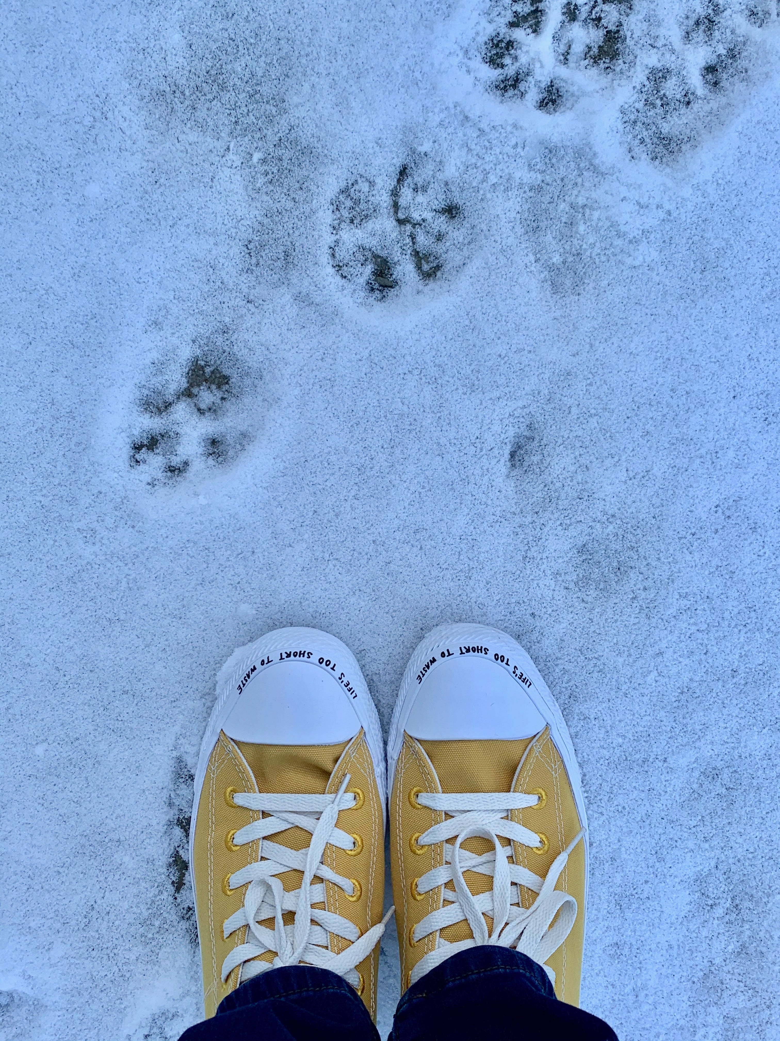 First Walk. A haiku | by Tasha Lane | Rainy Mondays | Medium