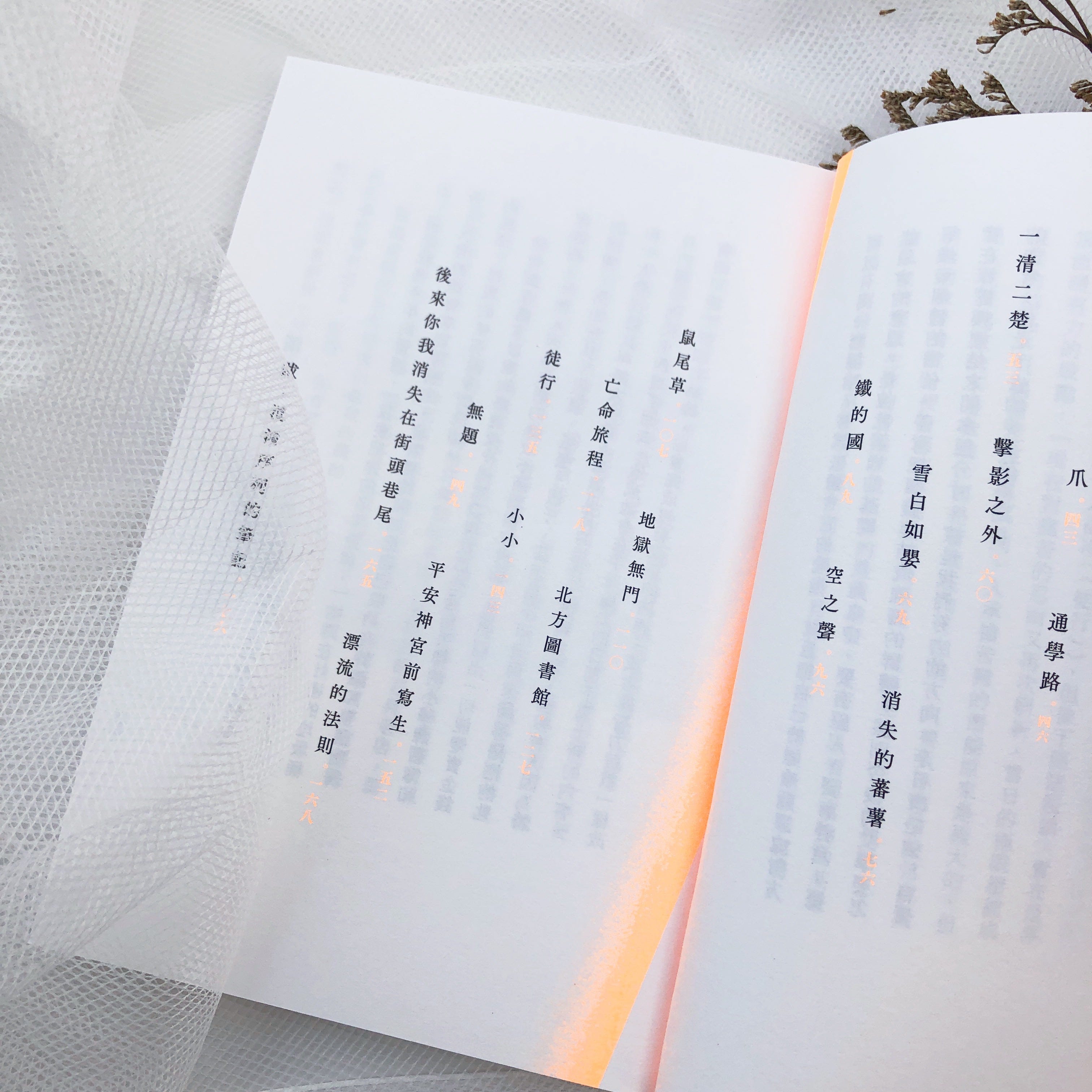 港講文學】《流雲抄》：成往空壞，由香港出發的災難之書| LIHKG 討論區