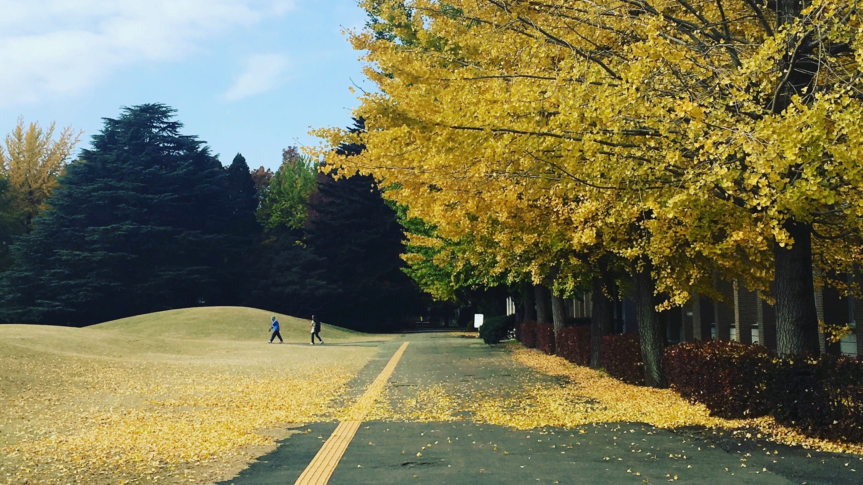 Icuでの2年と少し リベラルアーツ そして留学へ By Ryotaro Justin Kimura Ryoppippi Icuでの2年と少し リベラルアーツ そして留学へ By Ryotaro Justin Kimura Ryoppippi