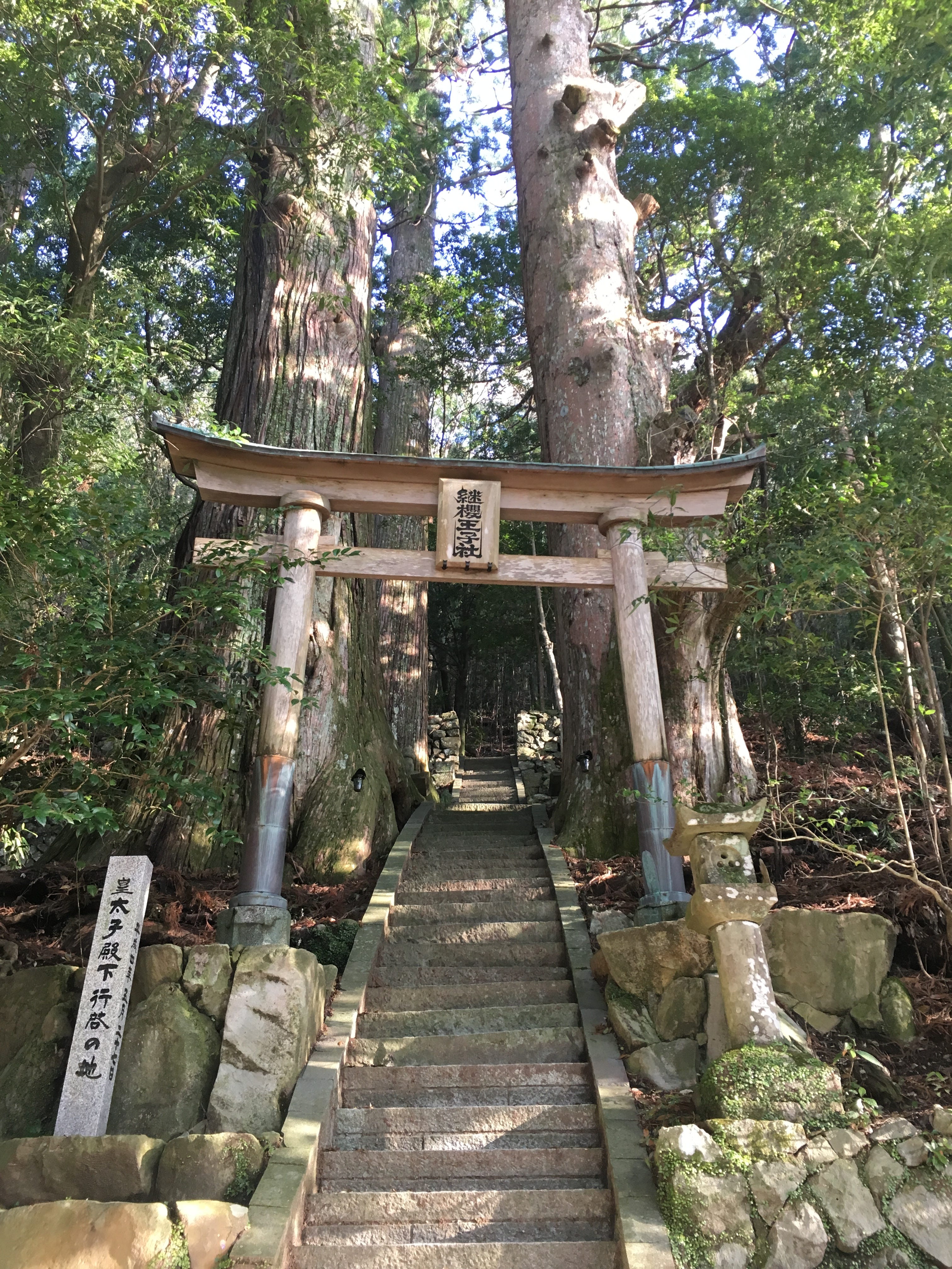 山女孩 美哉 熊野古道 中邊路 是篇遲到很久的健行筆記 圖多慎入 By Seal 被半導體業耽誤的產品設計師 重曝好時光 山女孩 美哉 熊野古道 中邊路 是篇遲到很久的健行筆記 圖多慎入 By Seal 被半導體業耽誤的產品設計師 重曝好時光