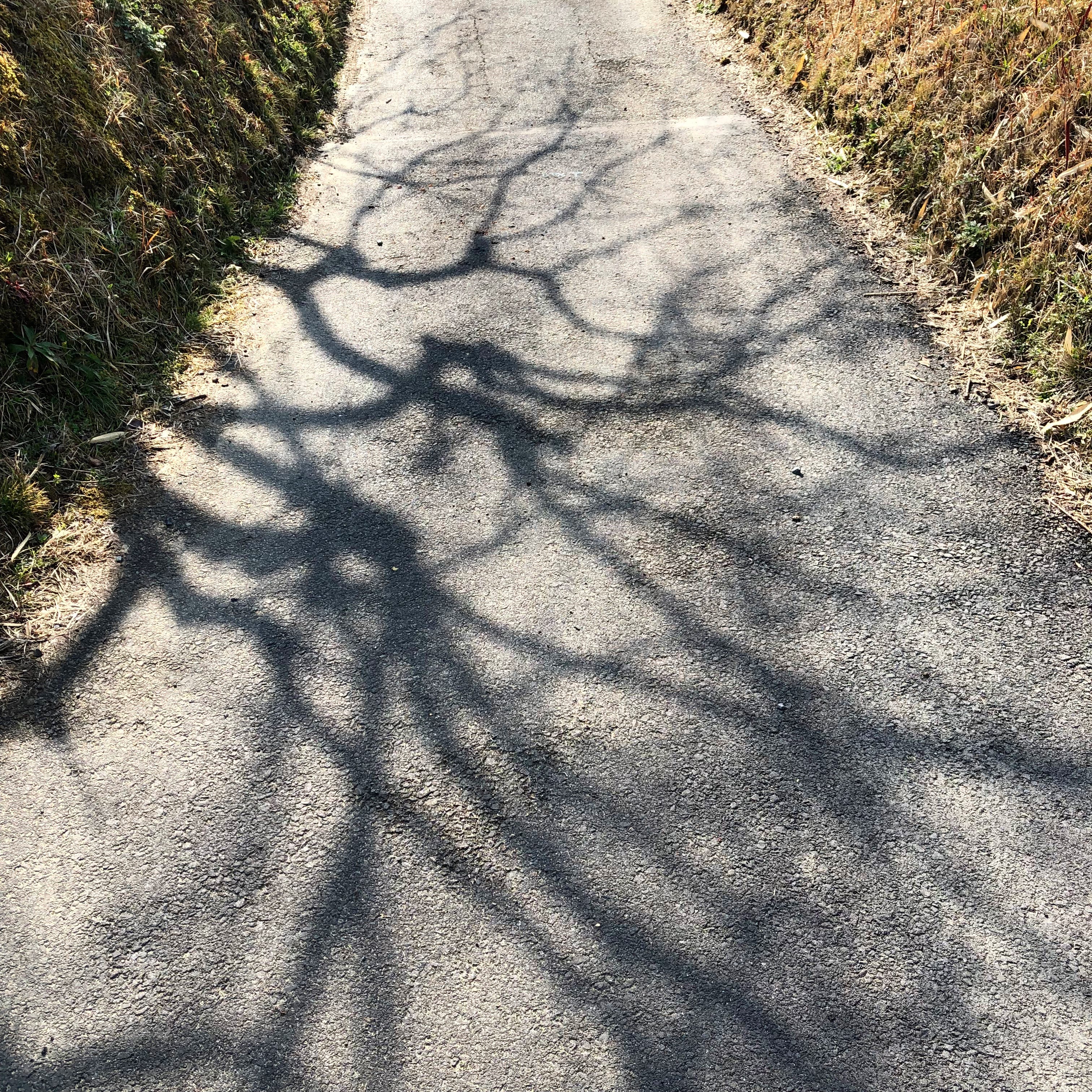 割れた地面 今日の光と影 By わたなべ Kuro Lab Photo Log Medium 割れた地面 今日の光と影 By わたなべ Kuro Lab Photo Log Medium