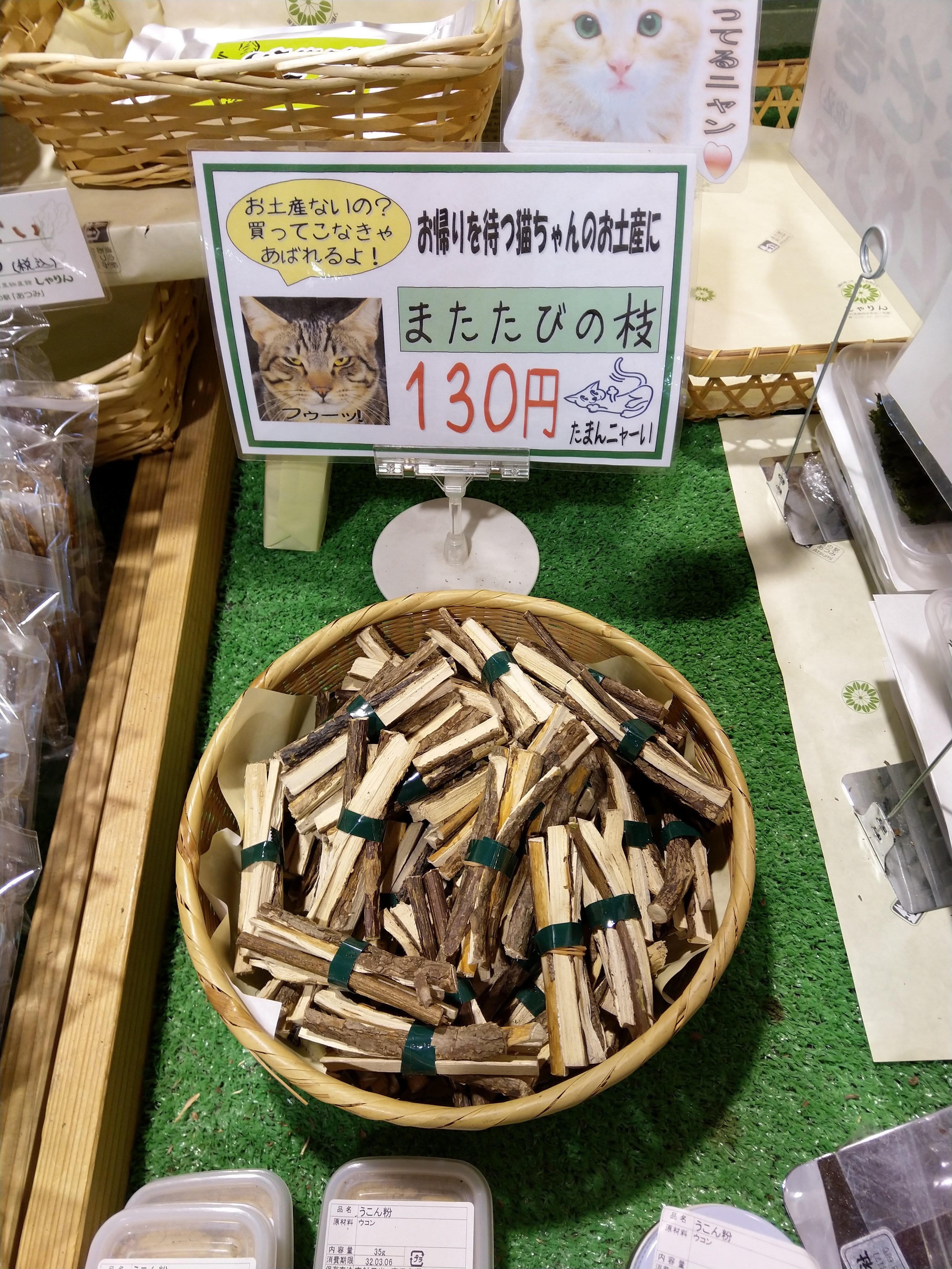 本州 要睡覺嗎 April 15 19 日本day15 By Willie Song Medium