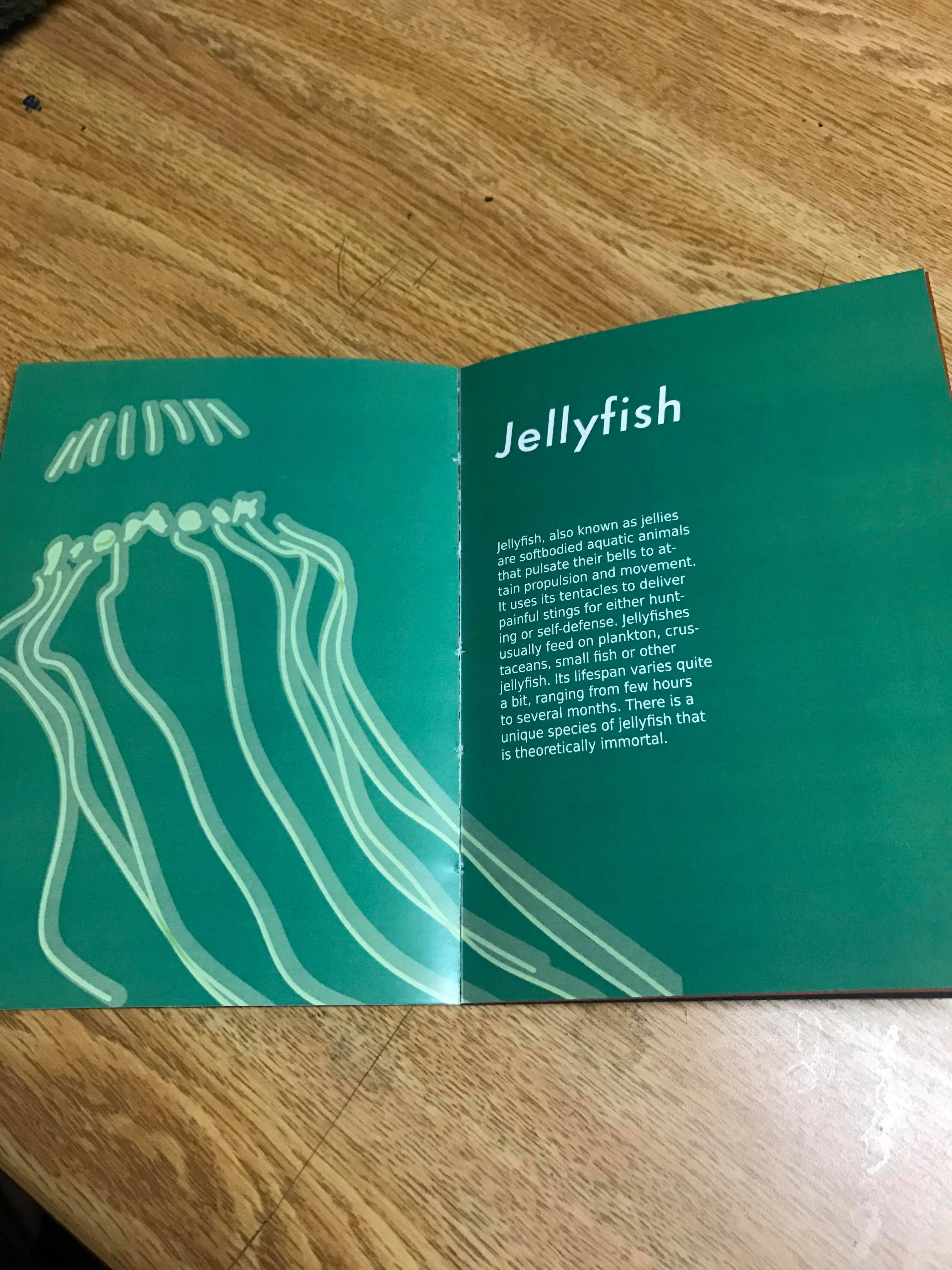 Final Project Designing A Book Communication Design Fundamentals By