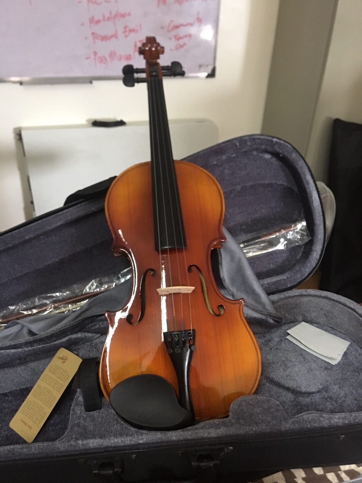 Permette Di Tenere Fermo Il Violino