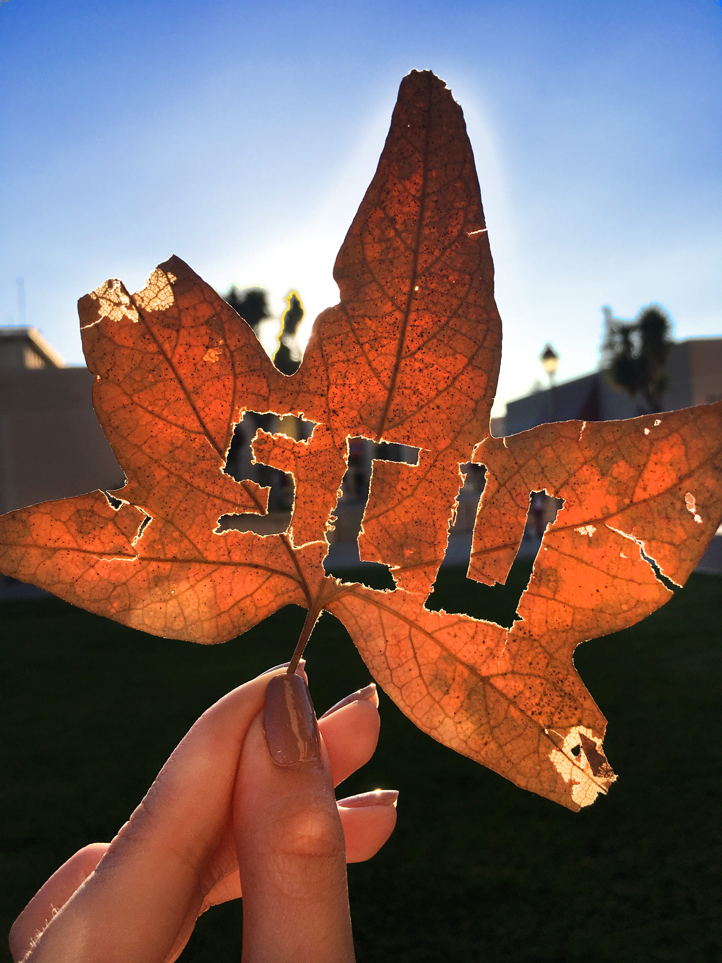 Fall at SCU. Fall quarter is here and it’s time to… by SCU Media