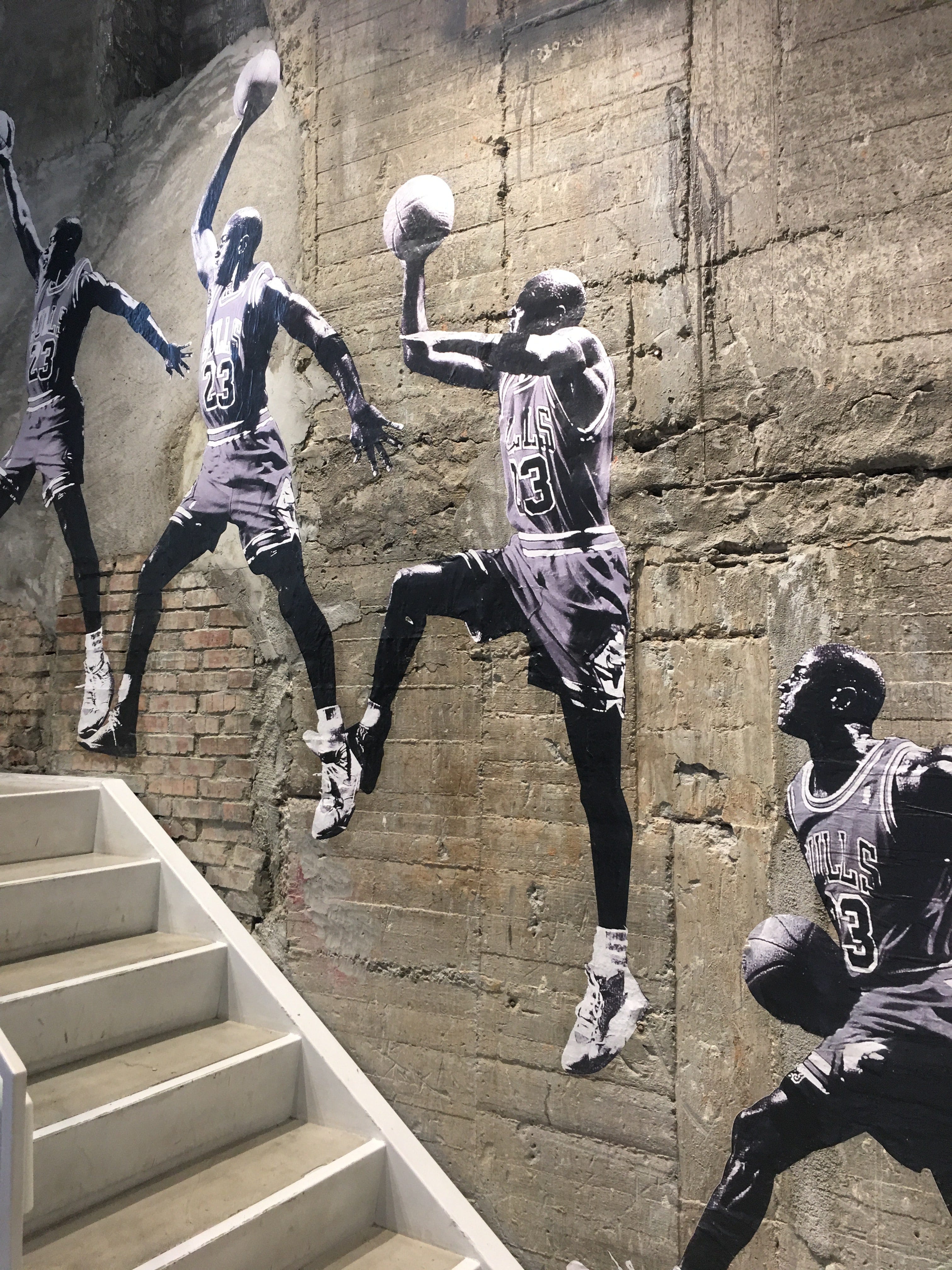 michael jordan flight