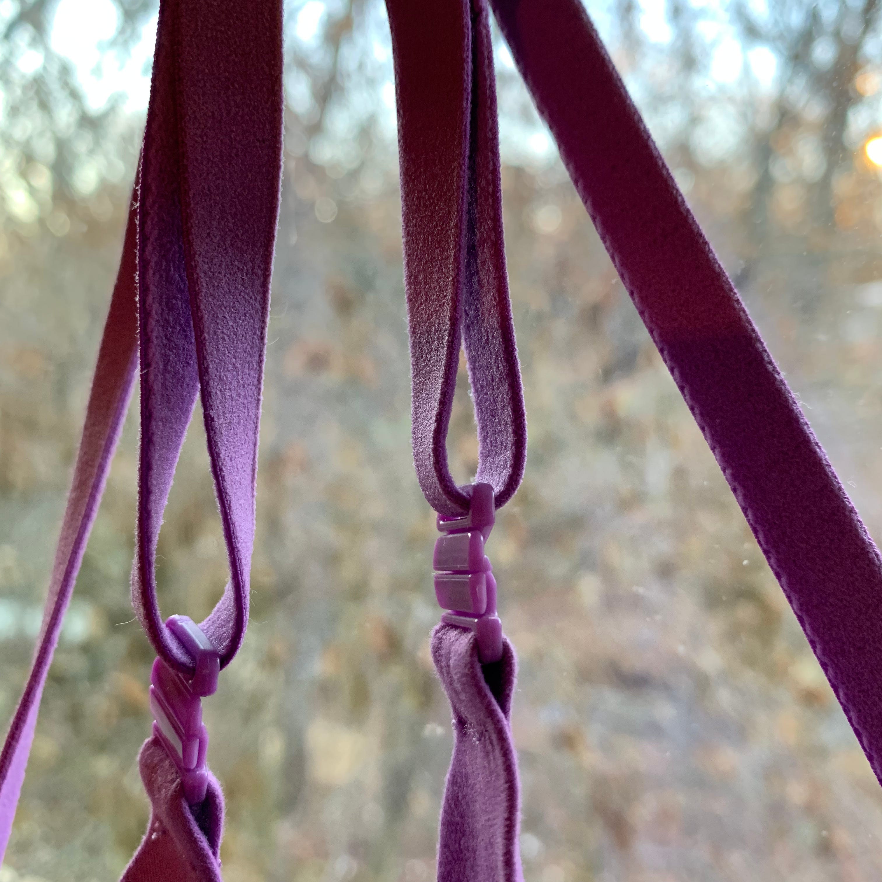 The Purple Bra The Weekly Knob
