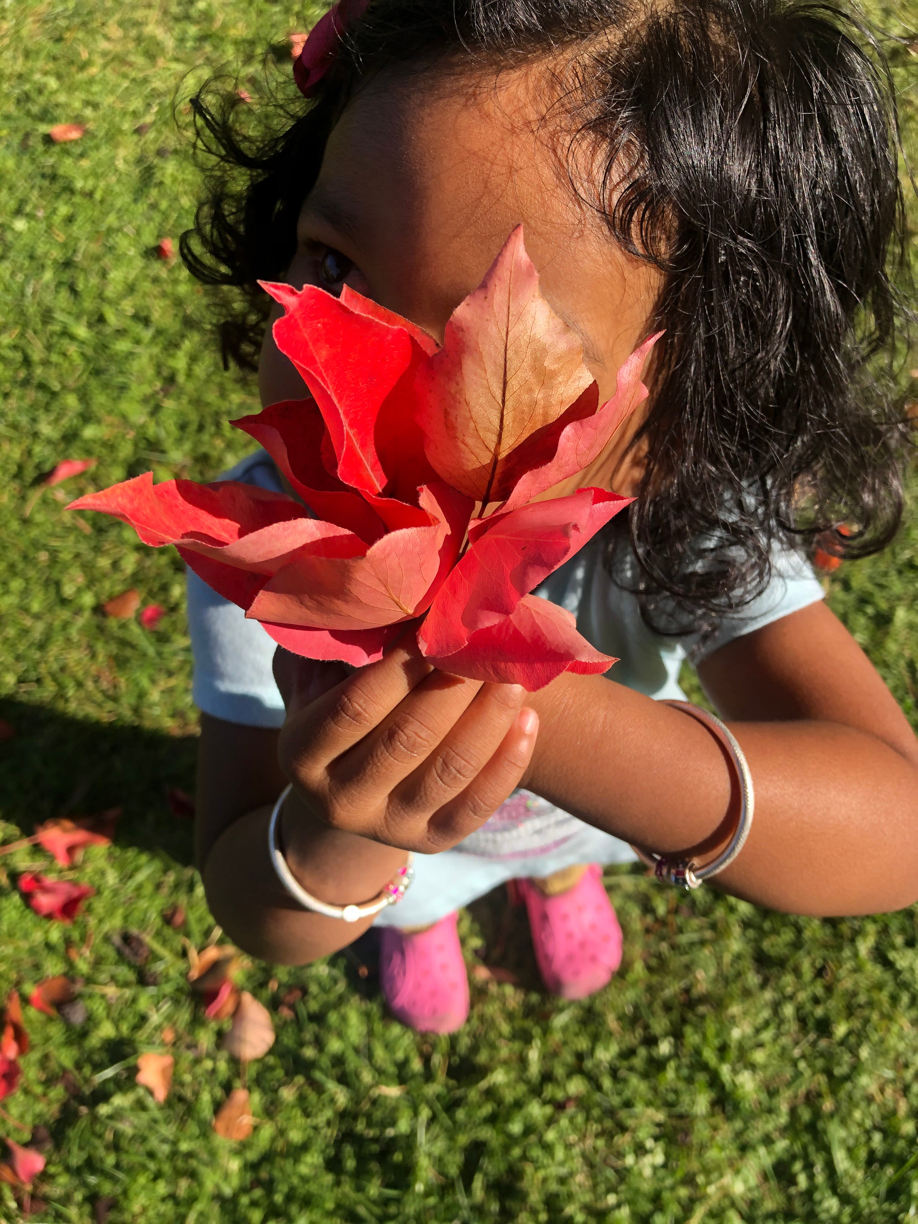 My toddler with the Fall flowers. Pic credit: Anushka Bhartiya