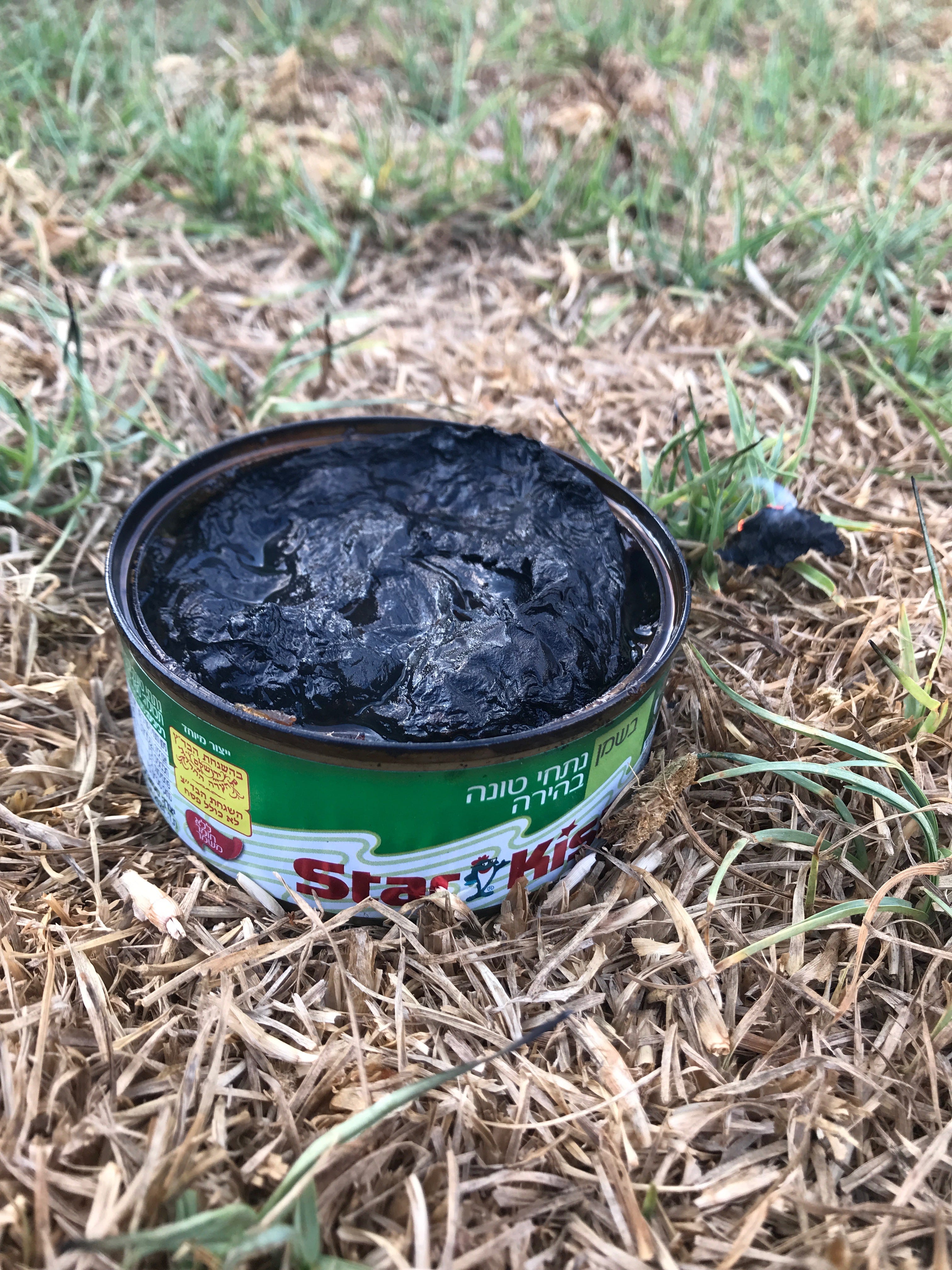 How to Improve a Can of Tuna? Set It on Fire by Shaul Armony Heated