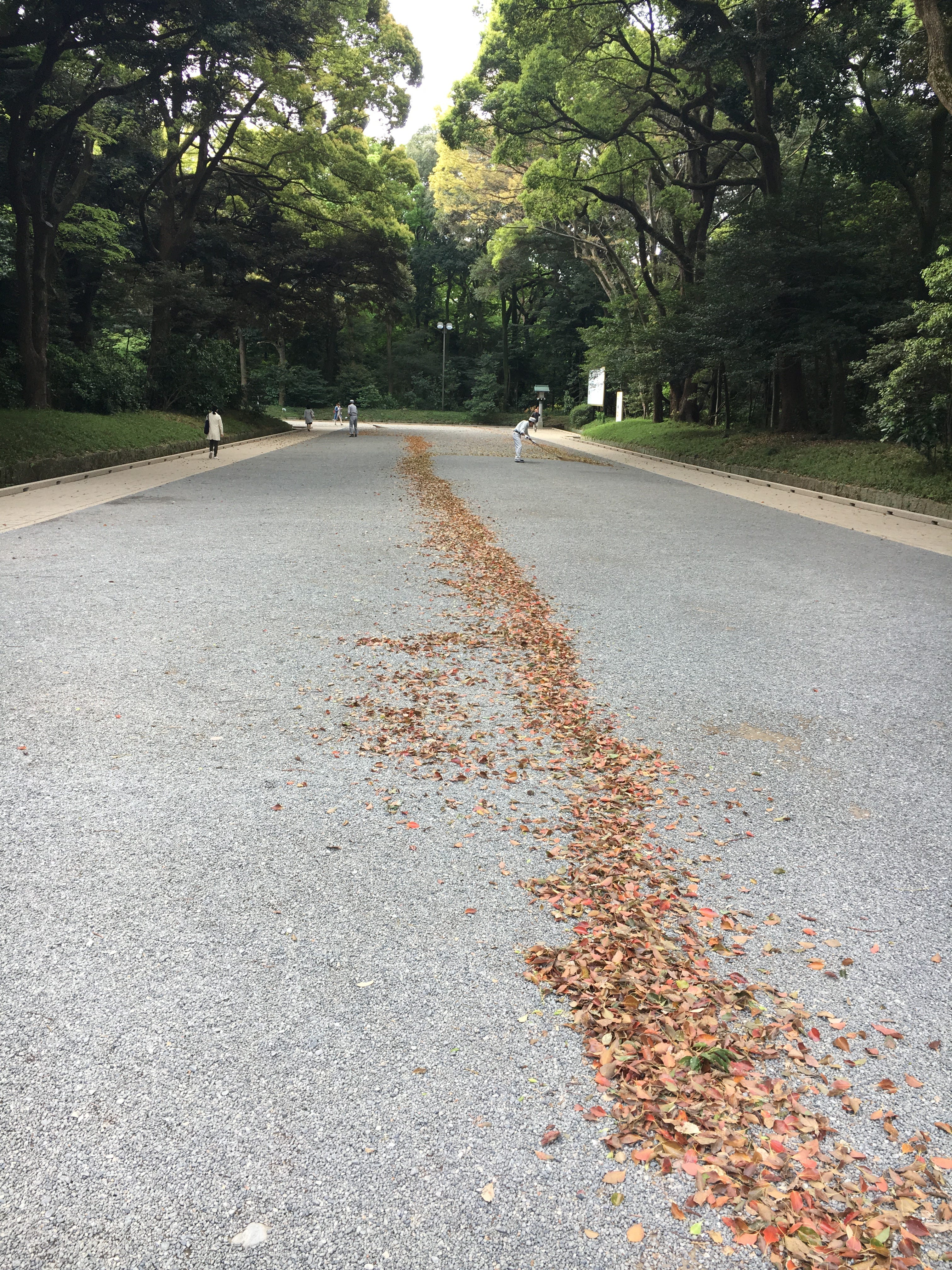 毎日3分程度の瞑想で睡眠障害が改善した 聴覚を使う私の瞑想方法 明治神宮の落ち葉を集める工程に 惹かれるものがある By Arata Mitsuhashi Medium 毎日3分程度の瞑想で睡眠障害が改善した 聴覚を使う私の瞑想方法 明治神宮の落ち葉を集める工程に 惹かれるものがある By Arata Mitsuhashi Medium