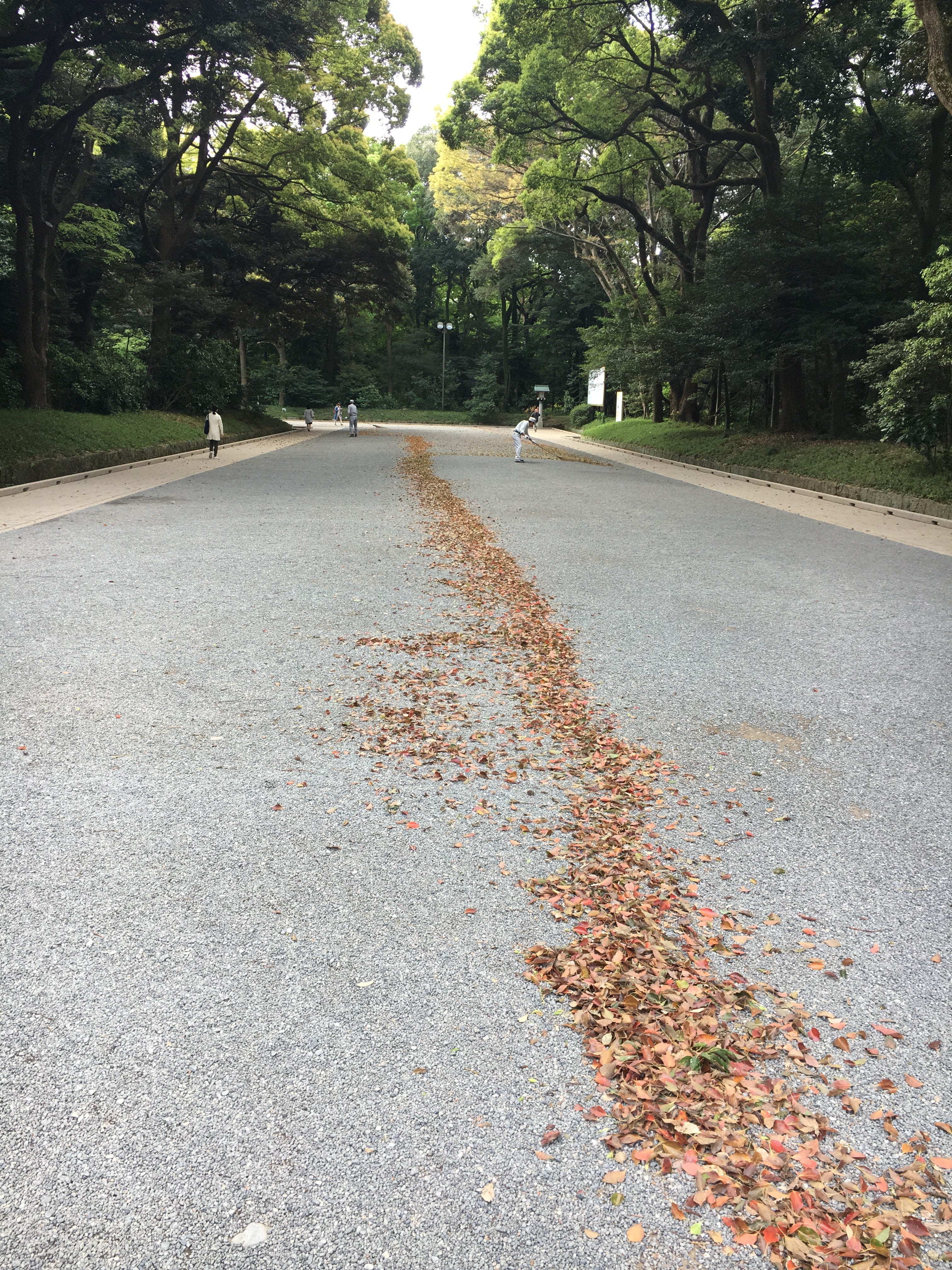 毎日3分程度の瞑想で睡眠障害が改善した 聴覚を使う私の瞑想方法 明治神宮の落ち葉を集める工程に 惹かれるものがある By Arata Mitsuhashi Medium