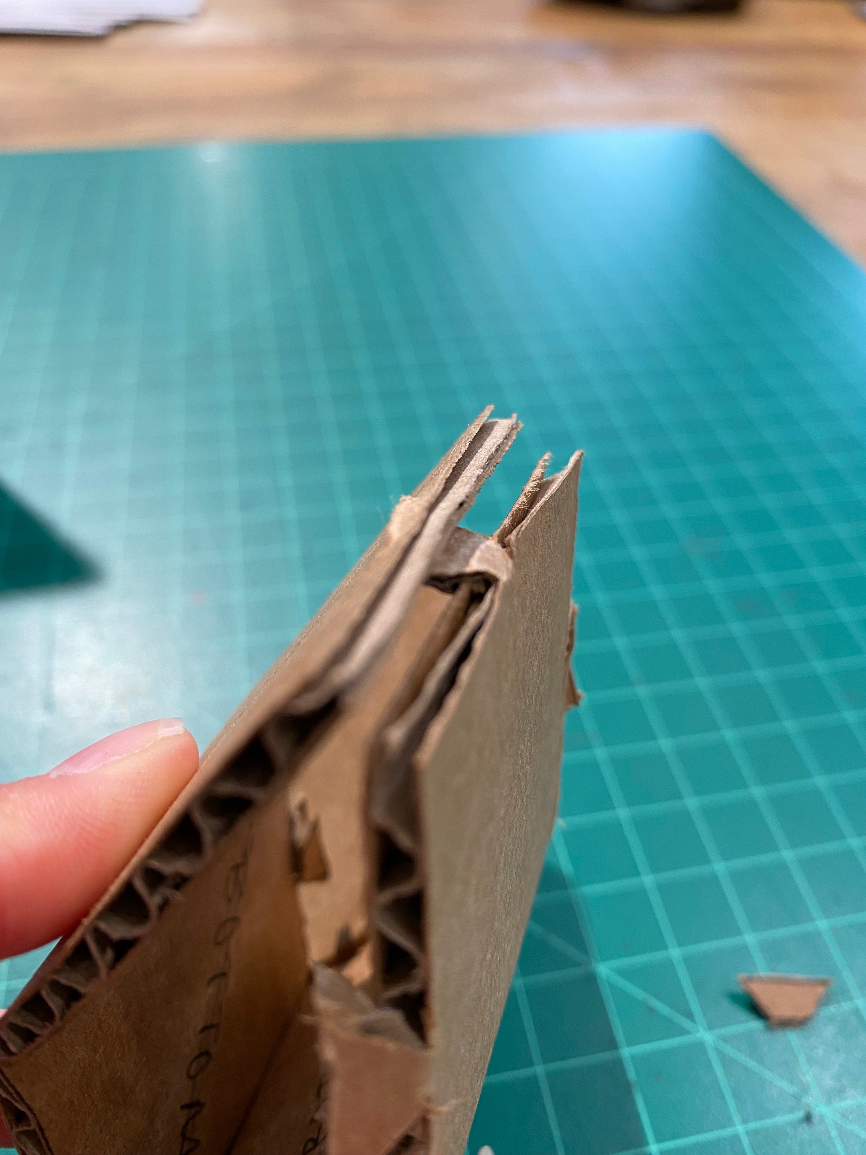 Project 2 — Cardboard Carrier. September 27, 2021 814 AM by Yuer