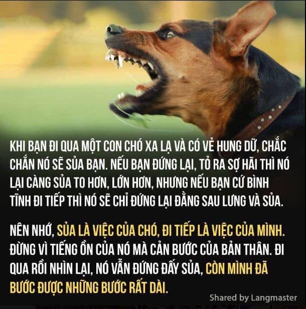 [Image: 1*CCKZKTunwtiFzXuQCBC5Ew.jpeg]