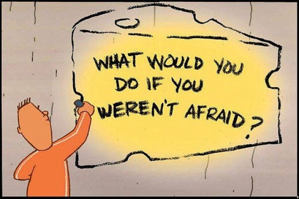 3 Things I Learnt From “Who Moved My Cheese?” | By Pranav Tiwari | Medium