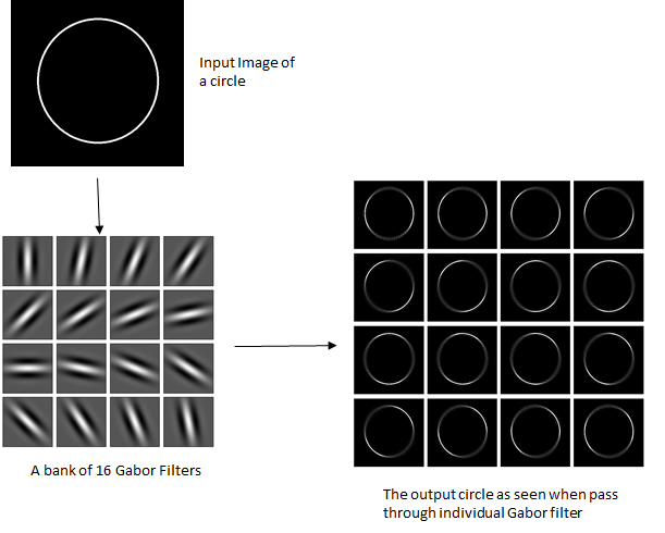 TVsæt marked arkiv Through The Eyes of Gabor Filter. The Gabor filter, named after Dennis… |  by Anuj shah (Exploring Neurons) | Medium
