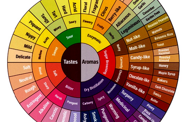 Coffee Flavor Chart