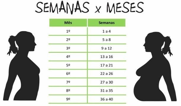 36 Semanas são quantos meses de gestação? | by Dicas Materna | Medium