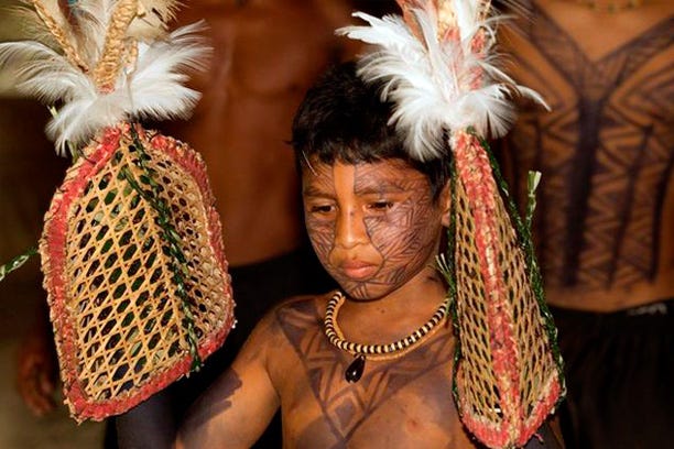 The Painful Rite Of Passage Of The Satere Mawe Tribe Of Brazil By Belinda Mallasasime History Of Yesterday