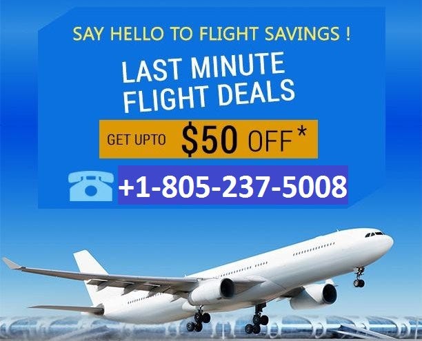 Last Minute One Way Flight Deals Belgium, SAVE 49% - jfmb.eu