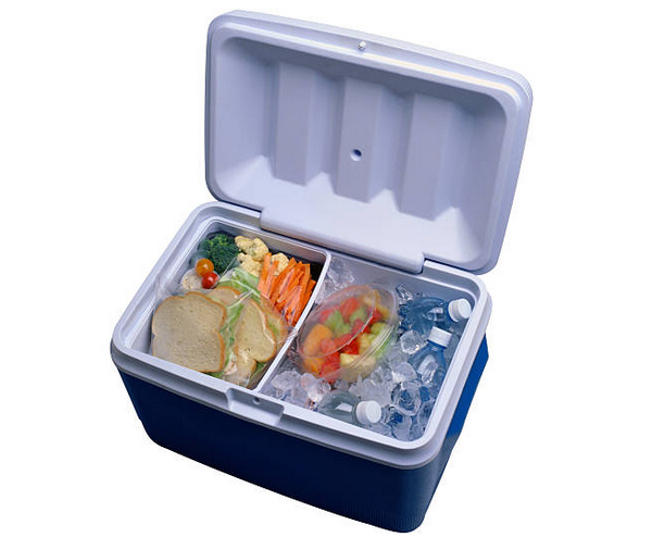 coolers that keep ice frozen for days