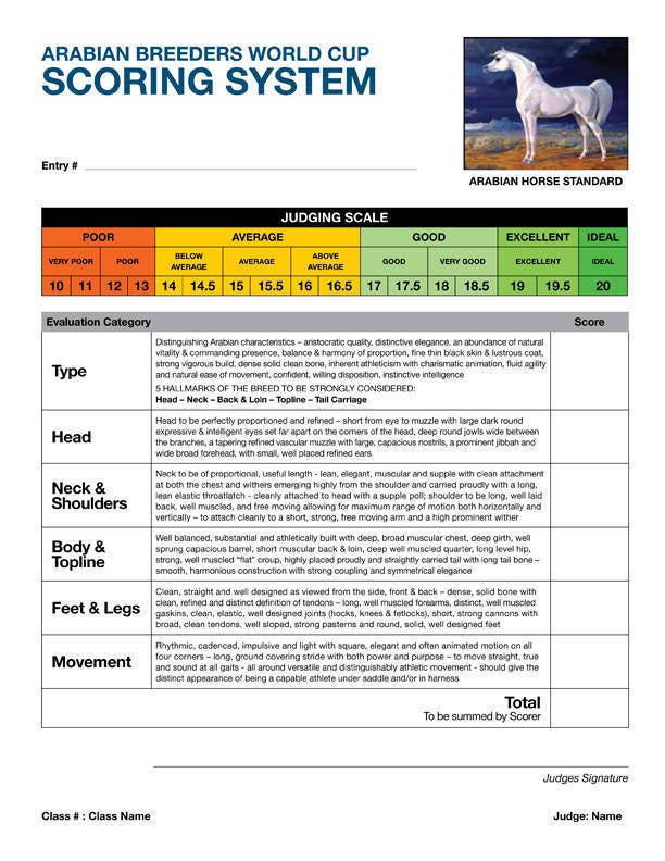 The Judging Criteria in Arabian Horse Shows by Tom Redmond (Aussie