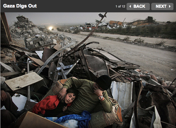 Al jazeera environment picture