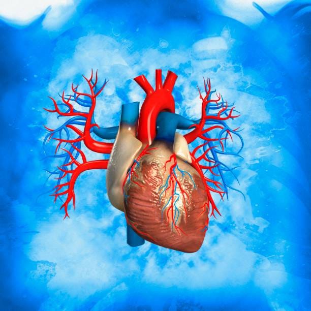 predicting-chances-for-having-a-heart-attack-by-dennis-niggl-aug