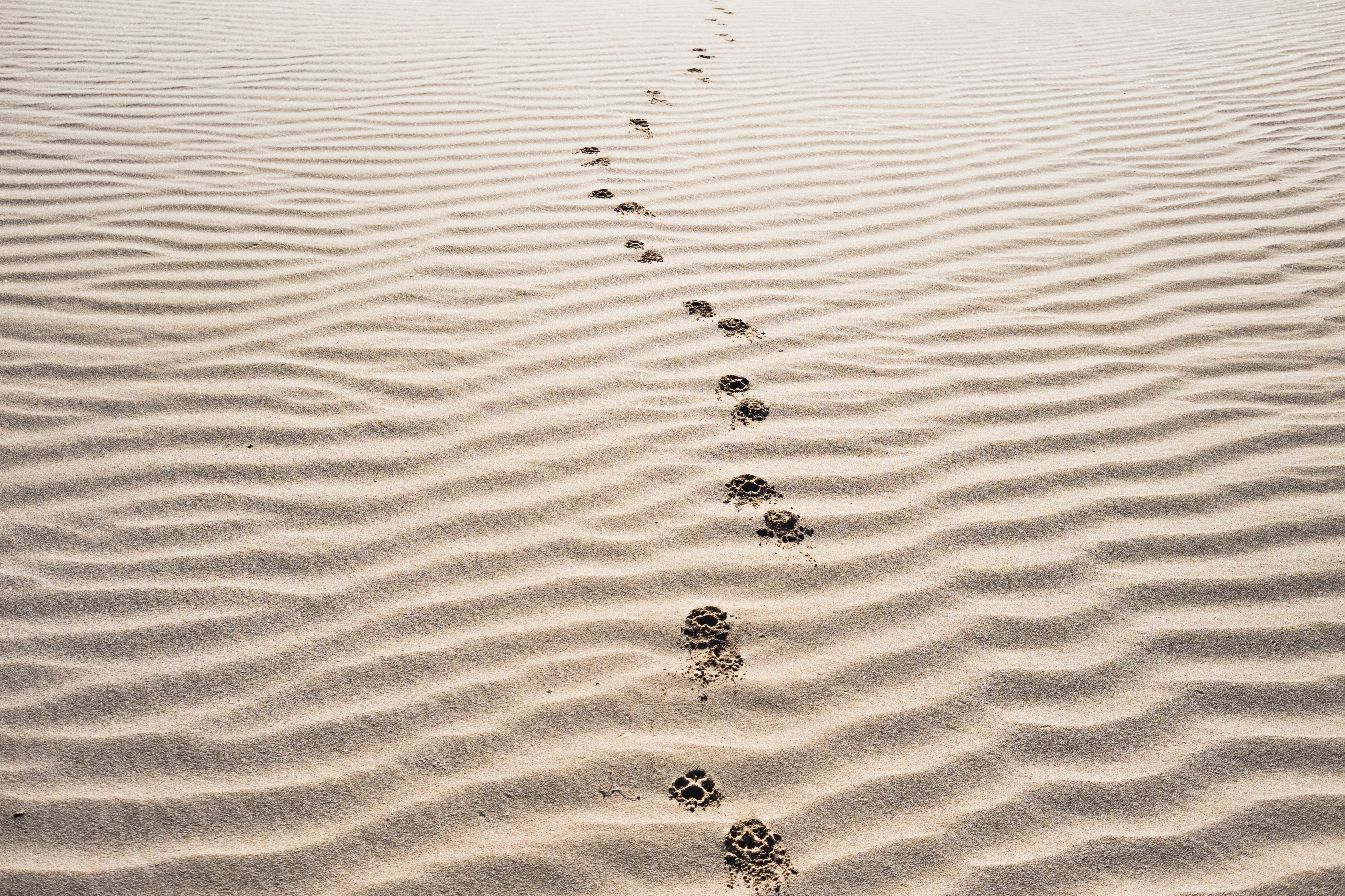 Think of those time where you "lost time"...what were you doing?