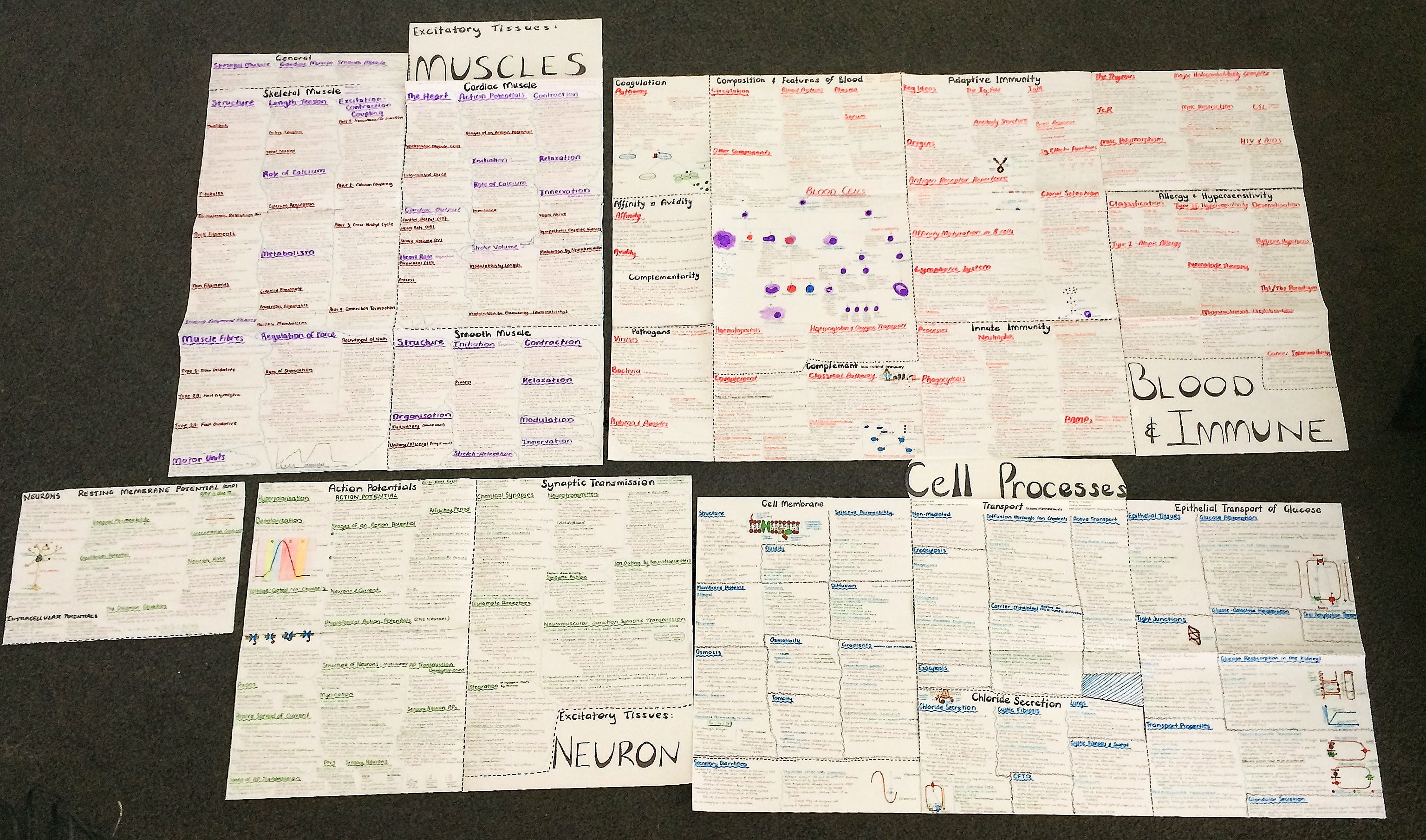 - Biodead? Medium Biomed or BIOSCI107 - - Biomed or Medium - BIOSCI107 Biodead?
