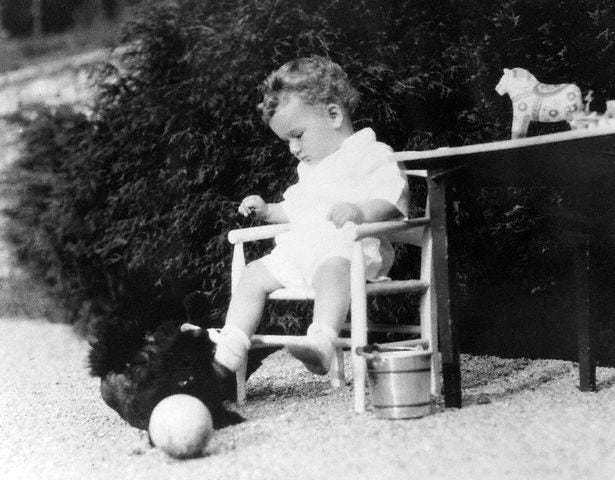 The suspicious death of the lindbergh baby by heather monroe medium