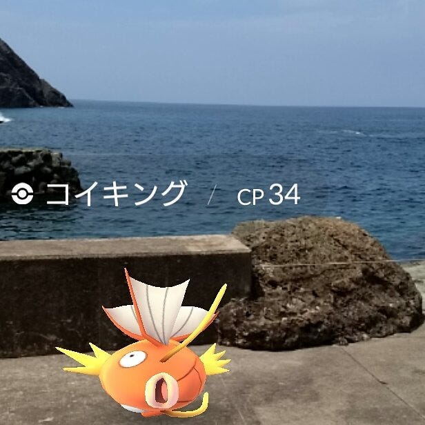 暑中見舞い申し上げよう 水辺はコイキングだらけ コイキング Pokemongo By Kentaro Joseph Ogawa Medium