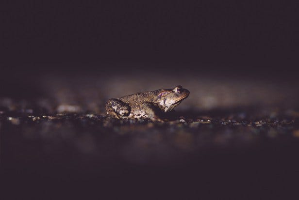 Image for post