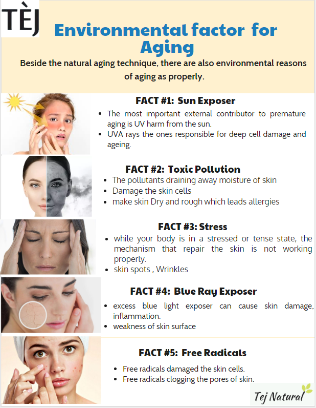 best anti aging cream to start young