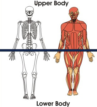 Coaching Matt Fraser In April 2017 I Finished A Track By Sami Chourbaji Medium