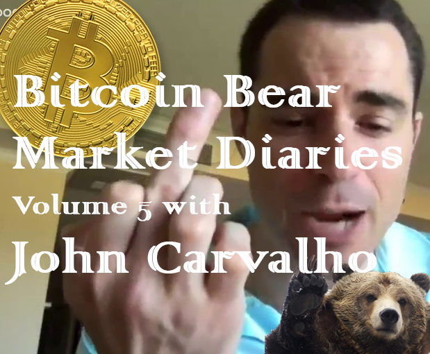 bitcoin bear market diaries hive bitcoin wallet